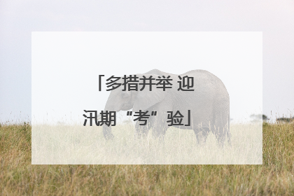 多措并举 迎汛期“考”验